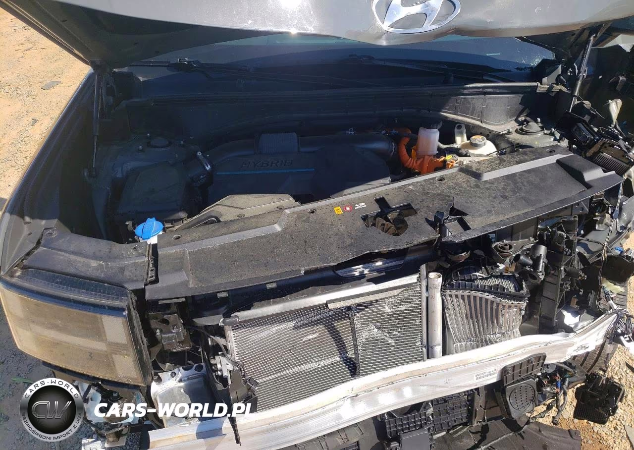 2024 Hyundai Santa Fe Limited VIN:5NMP34G12RH003913 - 12