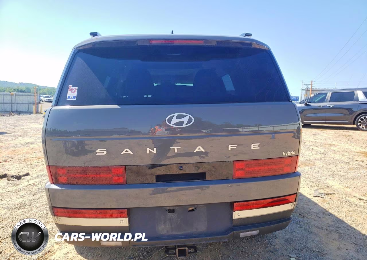 2024 Hyundai Santa Fe Limited VIN:5NMP34G12RH003913 - 6
