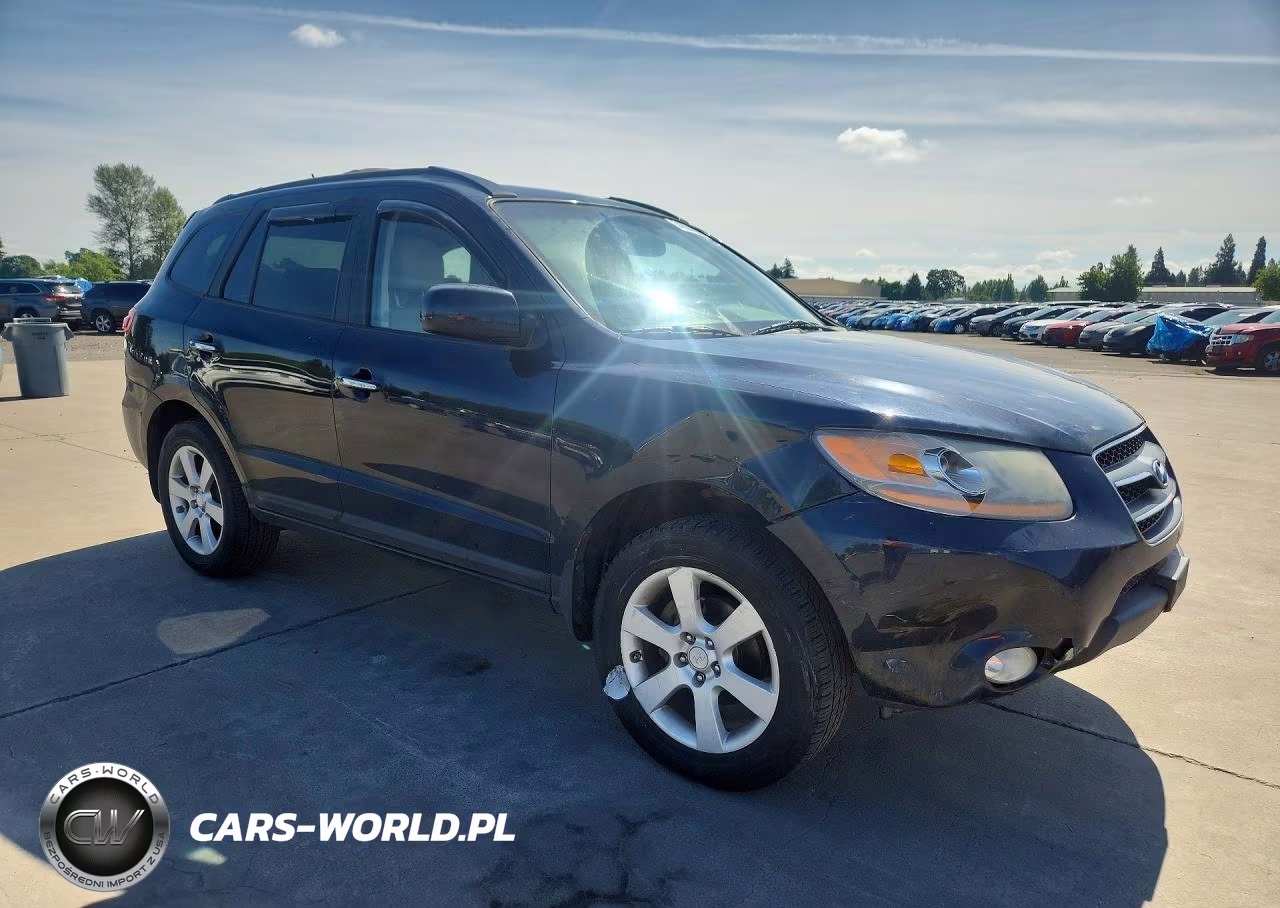 2009 Hyundai Santa Fe Limited VIN:5NMSH73E39H234275 - 4