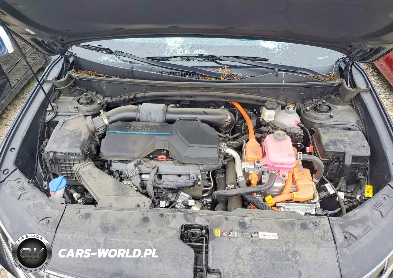 2024 Hyundai Tucson Limited VIN:KM8JECD10RU187106 - 12
