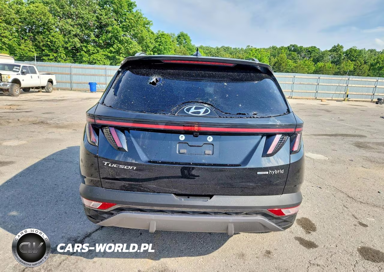 2024 Hyundai Tucson Limited VIN:KM8JECD10RU187106 - 6