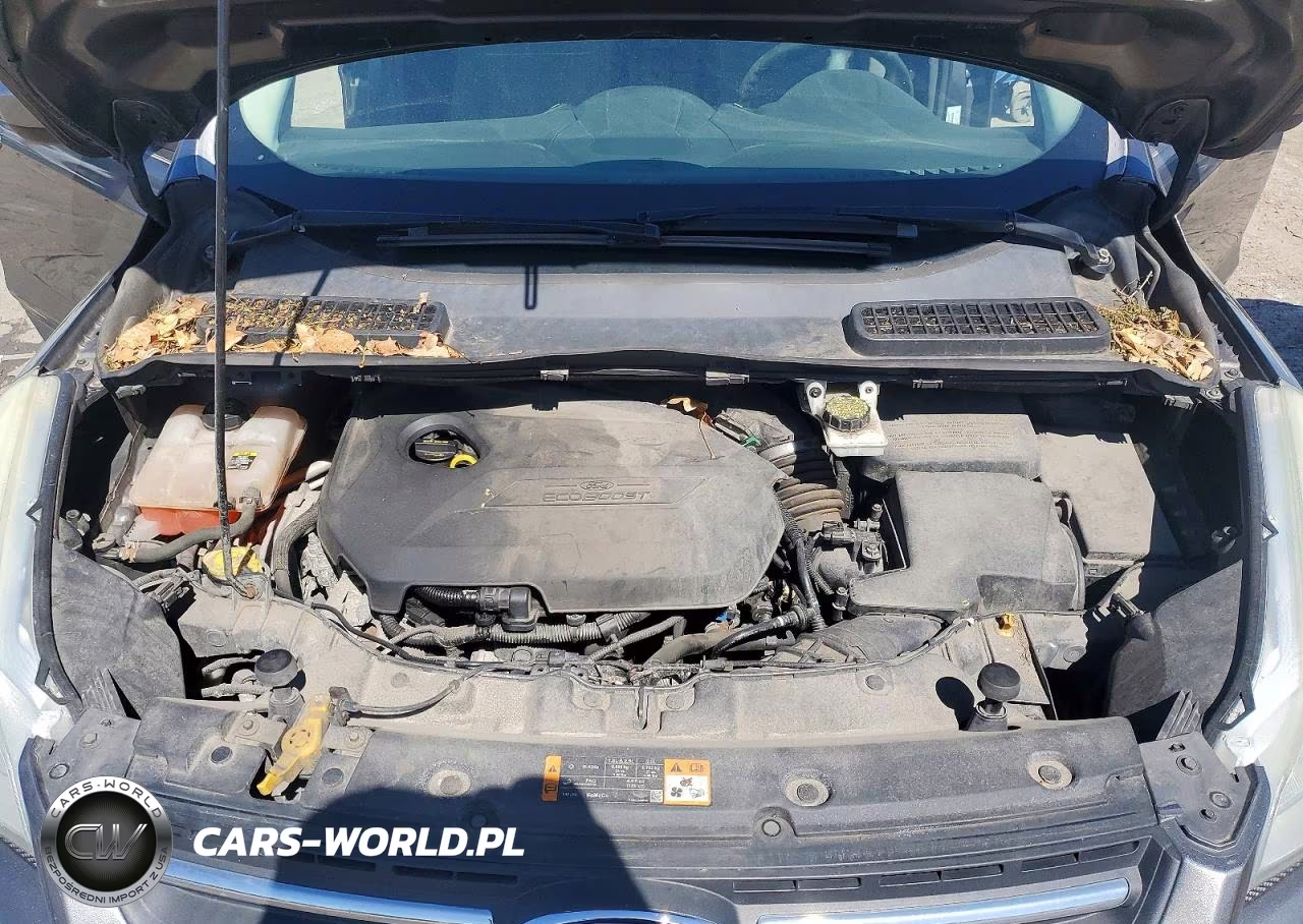 2013 Ford Escape Se VIN:1FMCU0GX6DUD91234 - 12