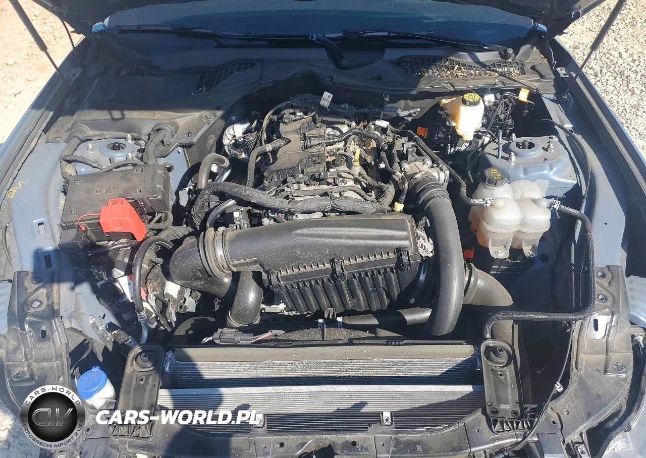 2024 Ford Mustang VIN:1FA6P8THXR5140245 - 11