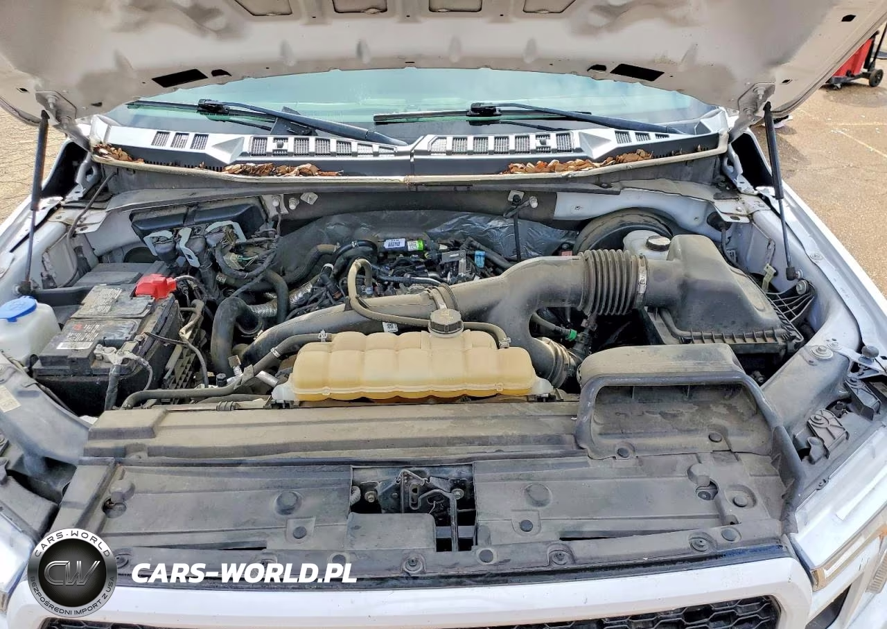 2020 Ford F150 Supercrew VIN:1FTEW1CP6LFA94101 - 11