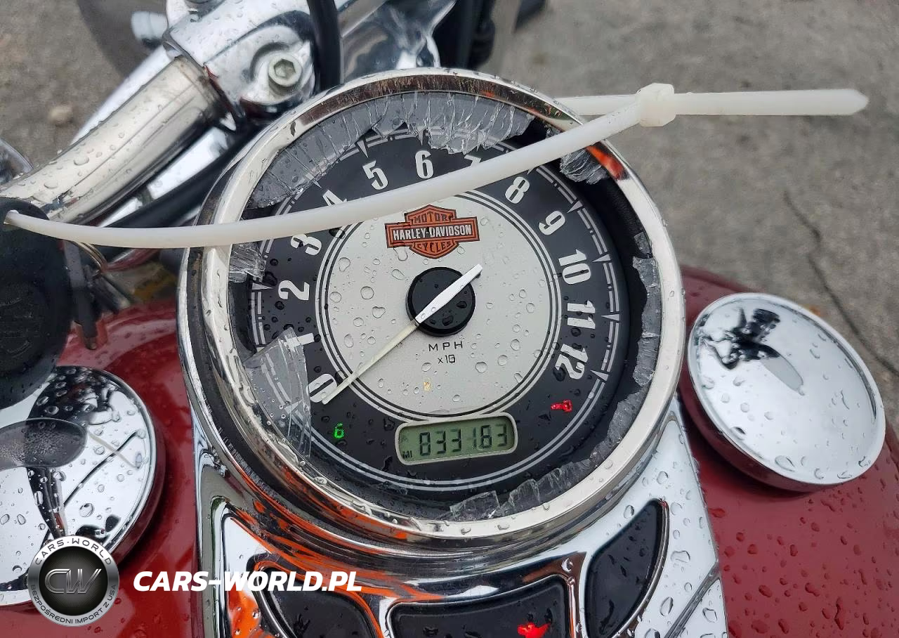2009 Harley-Davidson Flstc VIN:1HD1BW5199Y033224 - 7