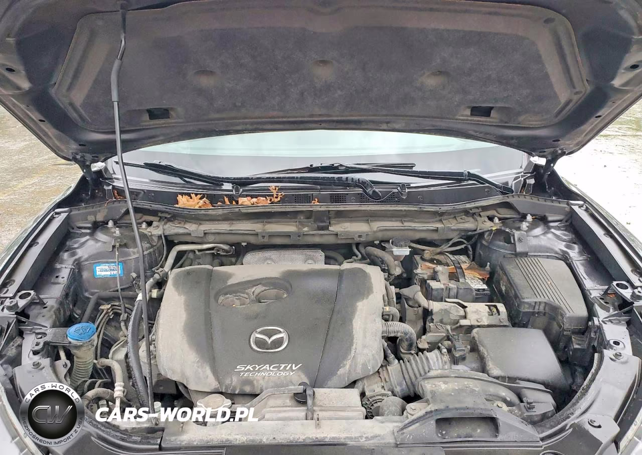 2015 Mazda Cx-5 Touring VIN:JM3KE2CY2F0440194 - 12