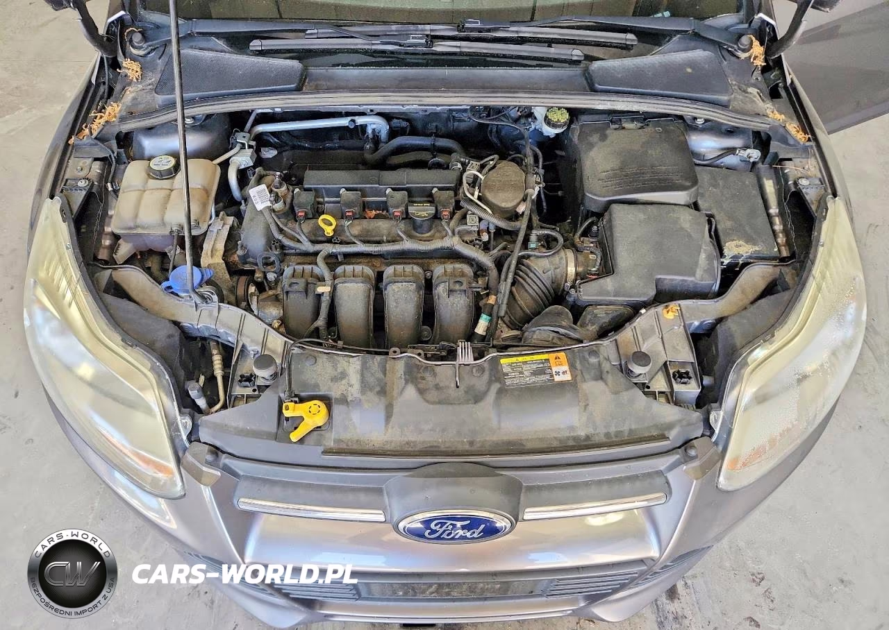2013 Ford Focus VIN:1FADP3E27DL187689 - 11