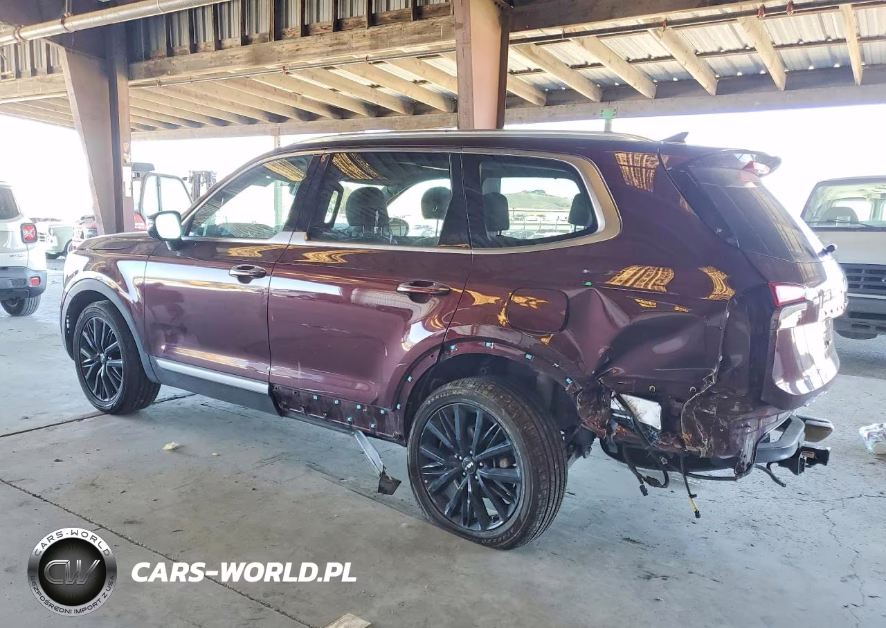 2022 Kia Telluride Sx VIN:5XYP54HC4NG303368 - 2