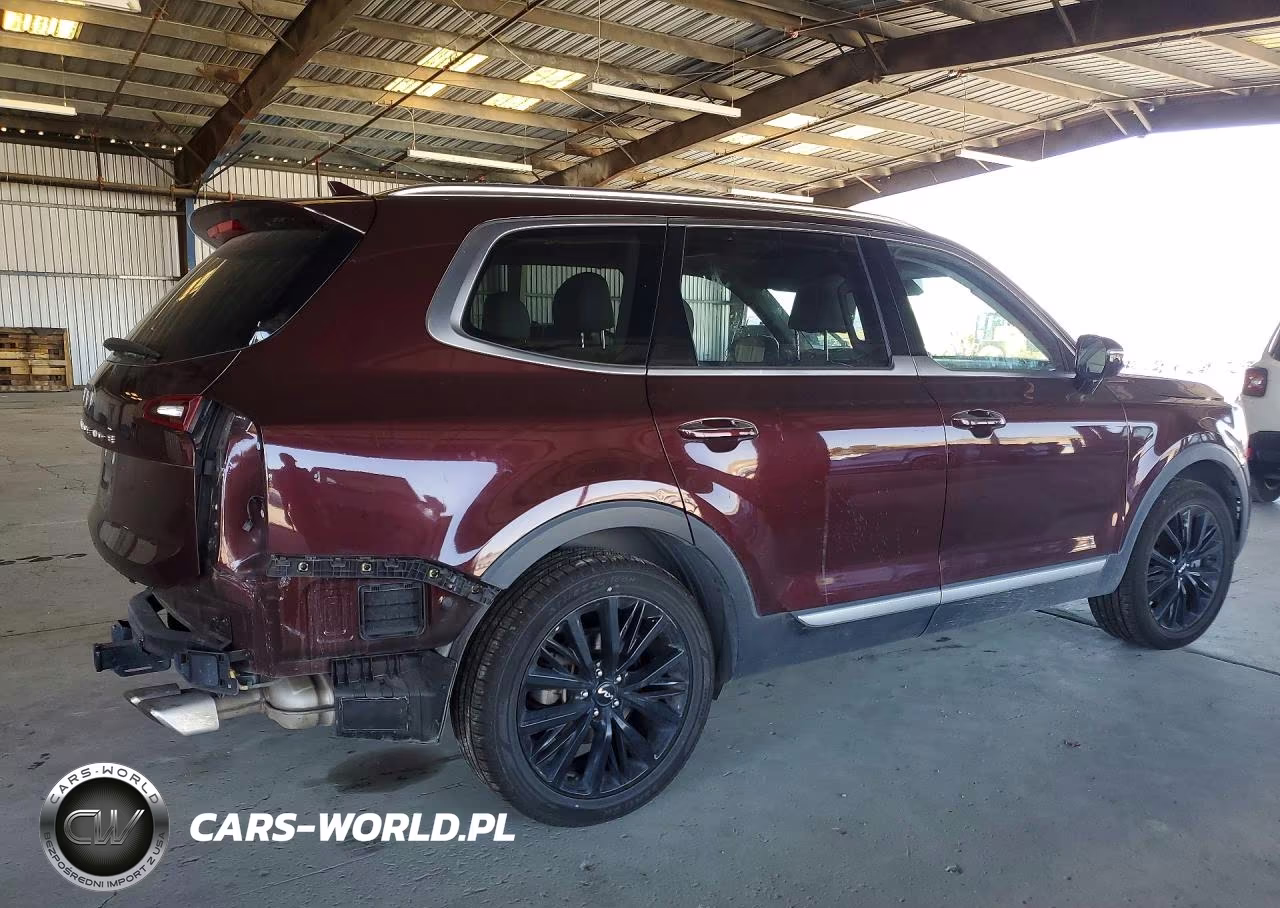 2022 Kia Telluride Sx VIN:5XYP54HC4NG303368 - 3