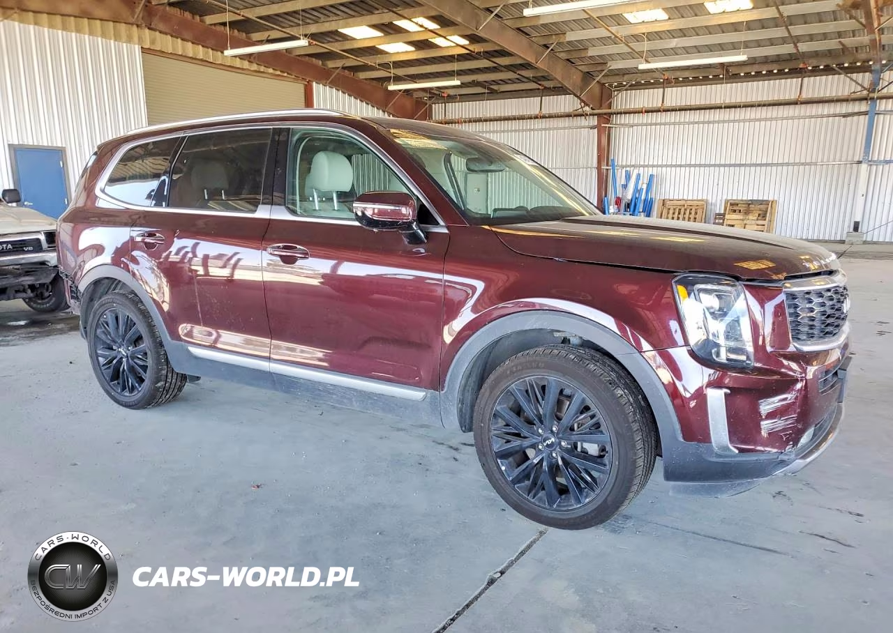 2022 Kia Telluride Sx VIN:5XYP54HC4NG303368 - 4