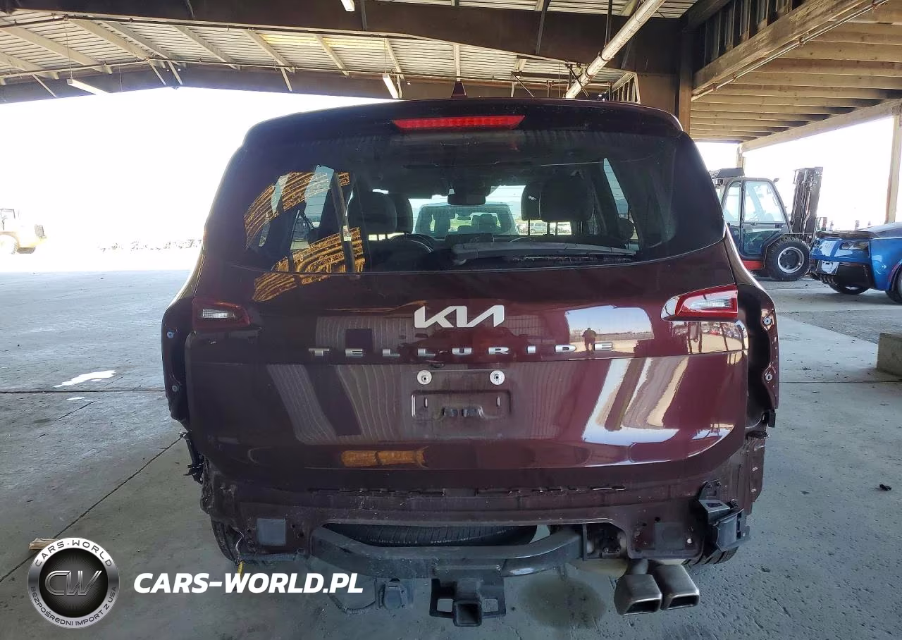 2022 Kia Telluride Sx VIN:5XYP54HC4NG303368 - 6