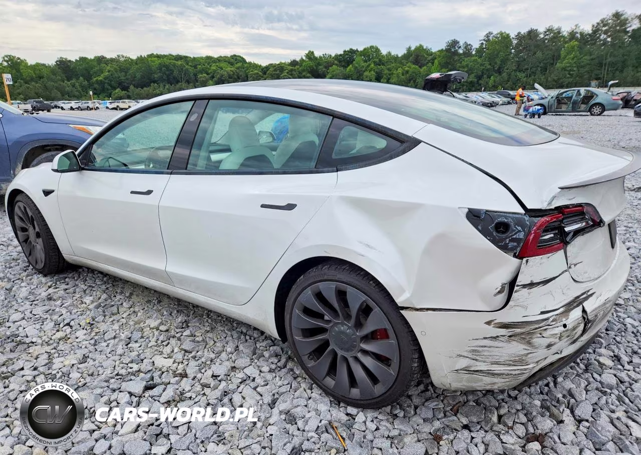 2021 Tesla Model 3 VIN:5YJ3E1EC2MF020233 - 2
