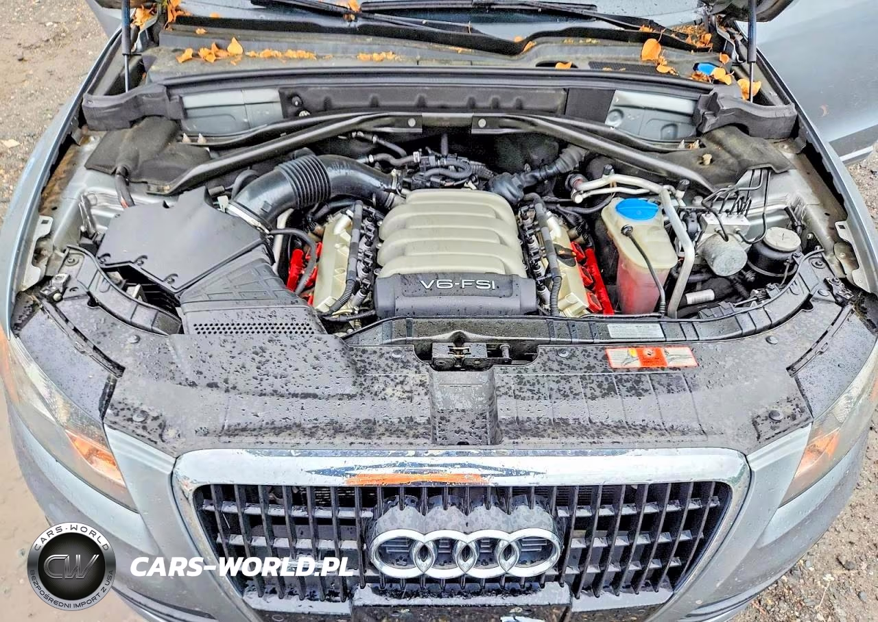 2010 Audi Q5 Premium Plus VIN:WA1LKAFPXAA023826 - 12