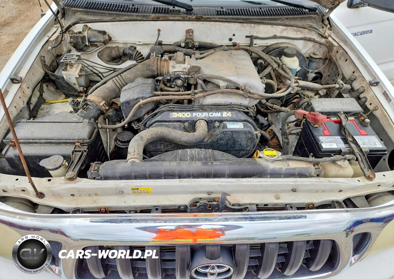 2004 Toyota Tacoma Base V6 VIN:5TEWN72N84Z460817 - 11