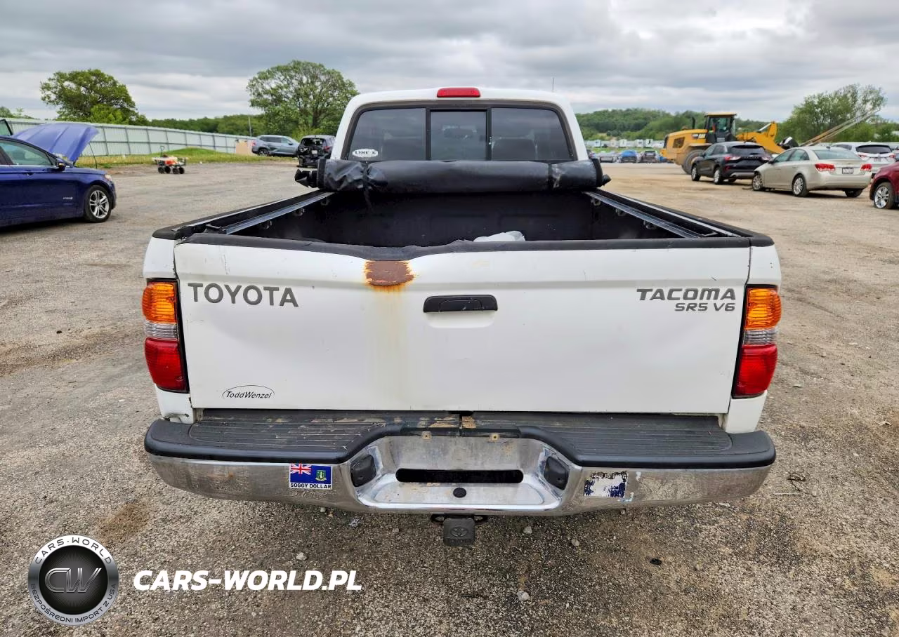 2004 Toyota Tacoma Base V6 VIN:5TEWN72N84Z460817 - 6