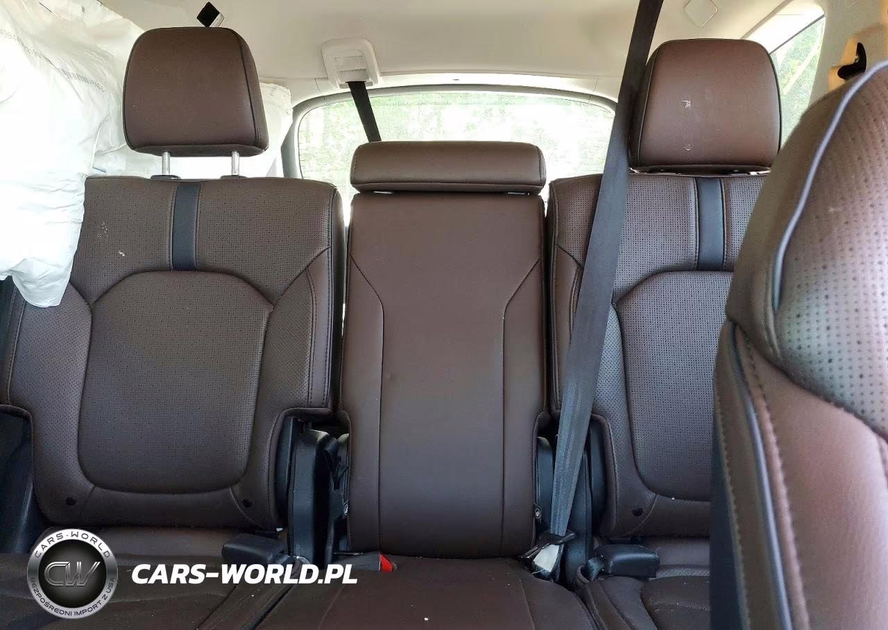 2024 Honda Pilot Elite VIN:5FNYG1H86RB040189 - 10
