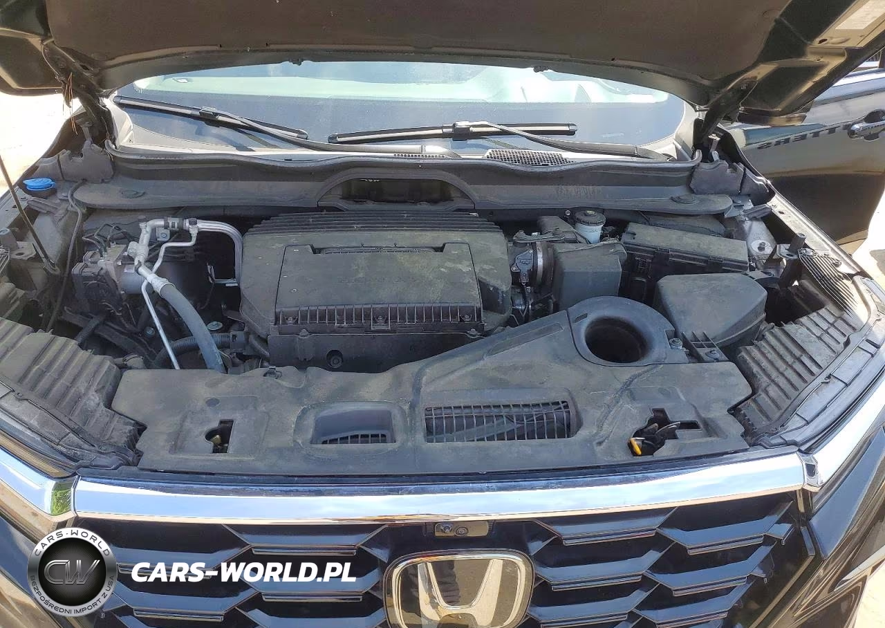 2024 Honda Pilot Elite VIN:5FNYG1H86RB040189 - 12