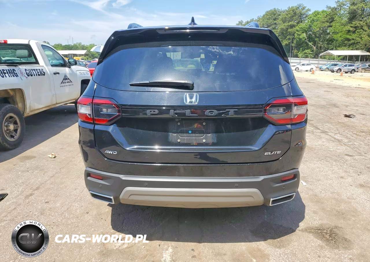 2024 Honda Pilot Elite VIN:5FNYG1H86RB040189 - 6