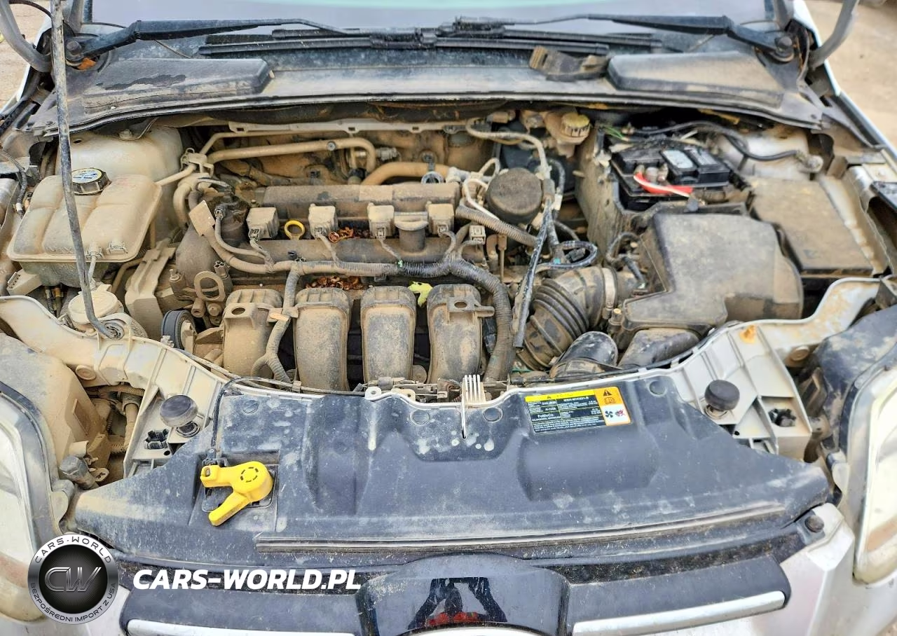 2012 Ford Focus Sel VIN:1FAHP3M2XCL415413 - 11