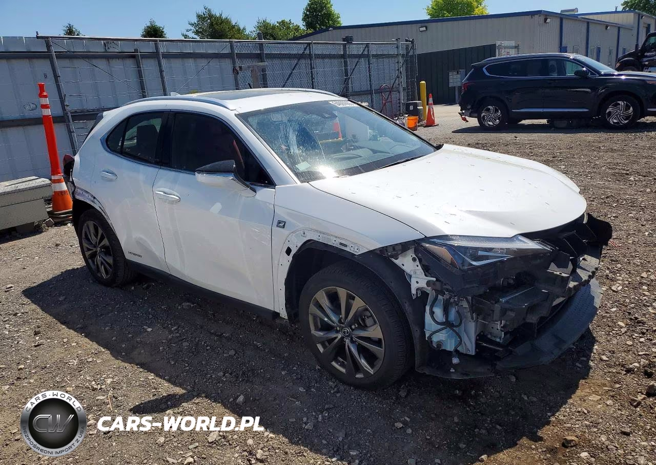 2019 Lexus Ux 250H VIN:JTHU9JBH8K2018770 - 4