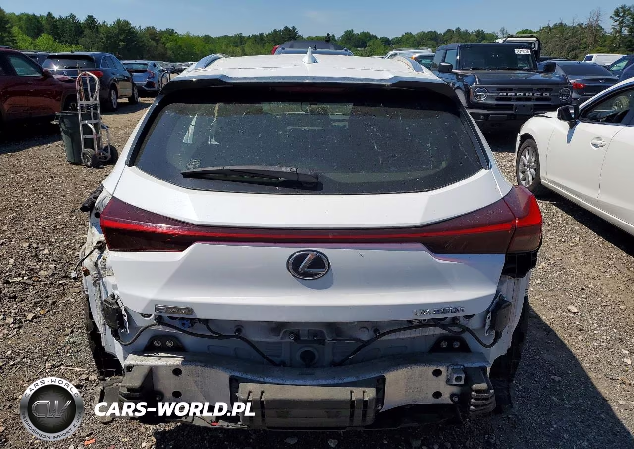 2019 Lexus Ux 250H VIN:JTHU9JBH8K2018770 - 6