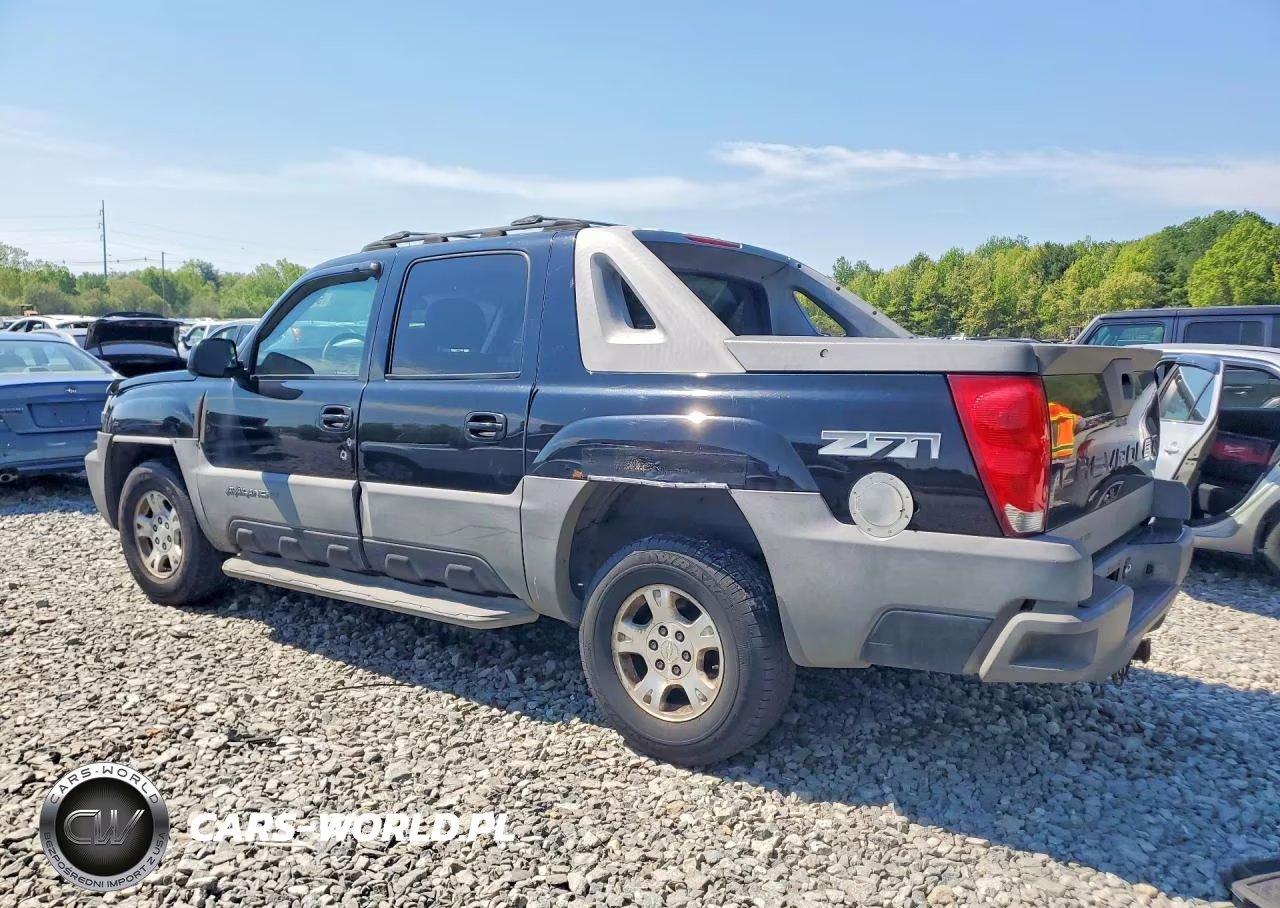 2002 Chevrolet Avalanche K1500 VIN:3GNEK13T32G228981 - 2
