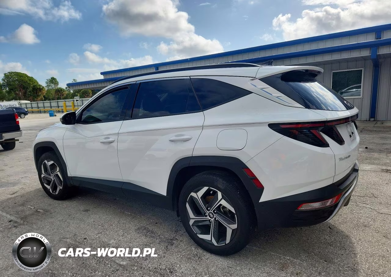 2024 Hyundai Tucson Limited VIN:5NMJE3DE5RH385730 - 2