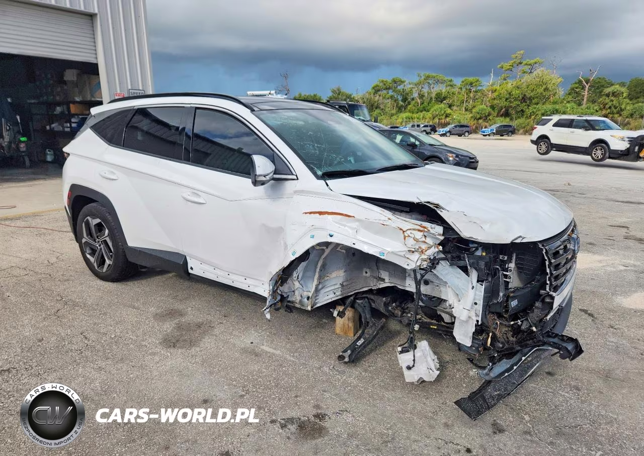 2024 Hyundai Tucson Limited VIN:5NMJE3DE5RH385730 - 4
