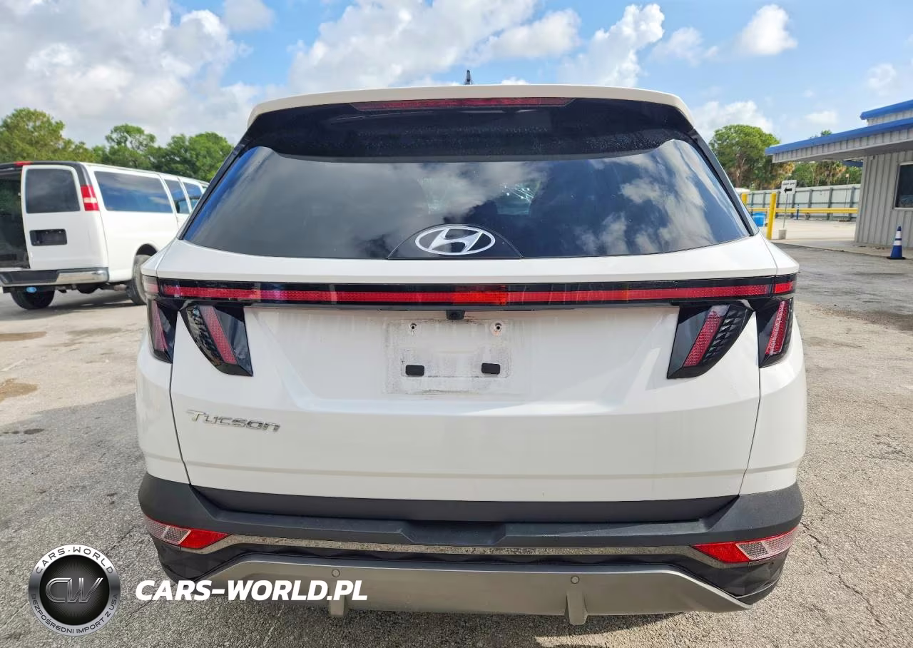 2024 Hyundai Tucson Limited VIN:5NMJE3DE5RH385730 - 6