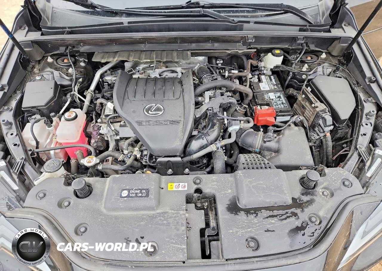 2023 Lexus Nx 350 VIN:2T2KGCEZ3PC017755 - 11
