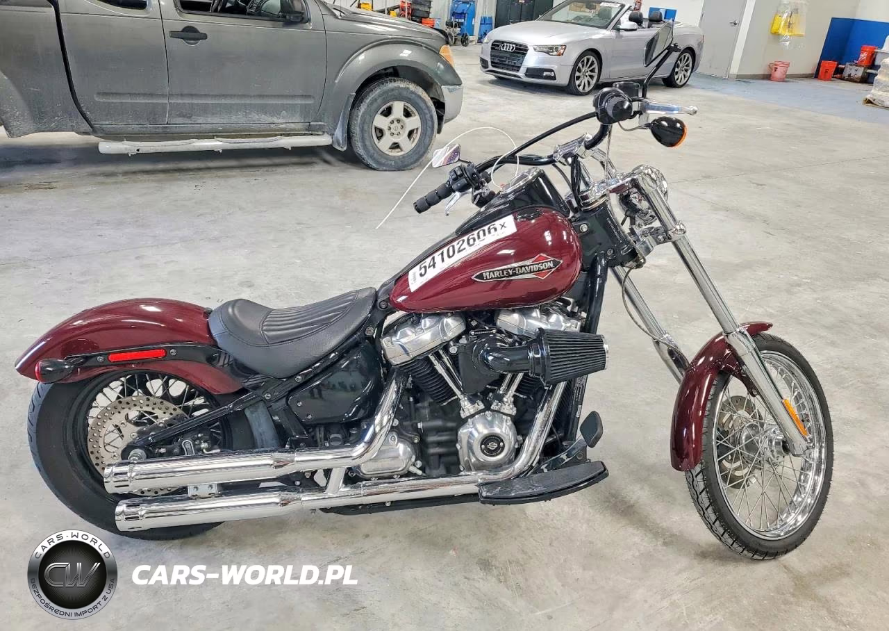 2020 Harley Davidson Flsl Softail Slim