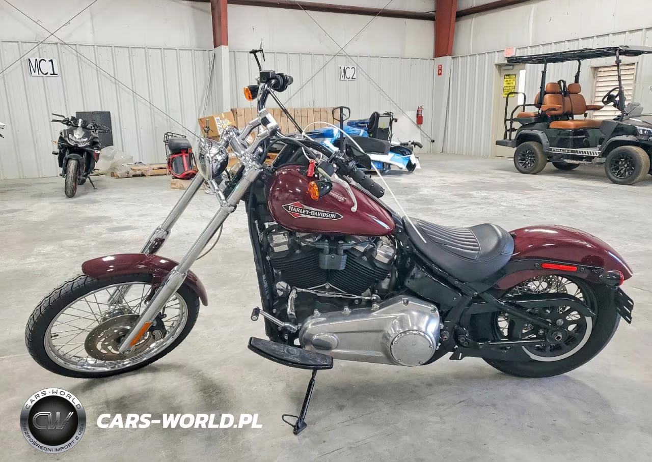 2020 Harley Davidson Flsl Softail Slim VIN:1HD1YDJ16LB014617 - 3