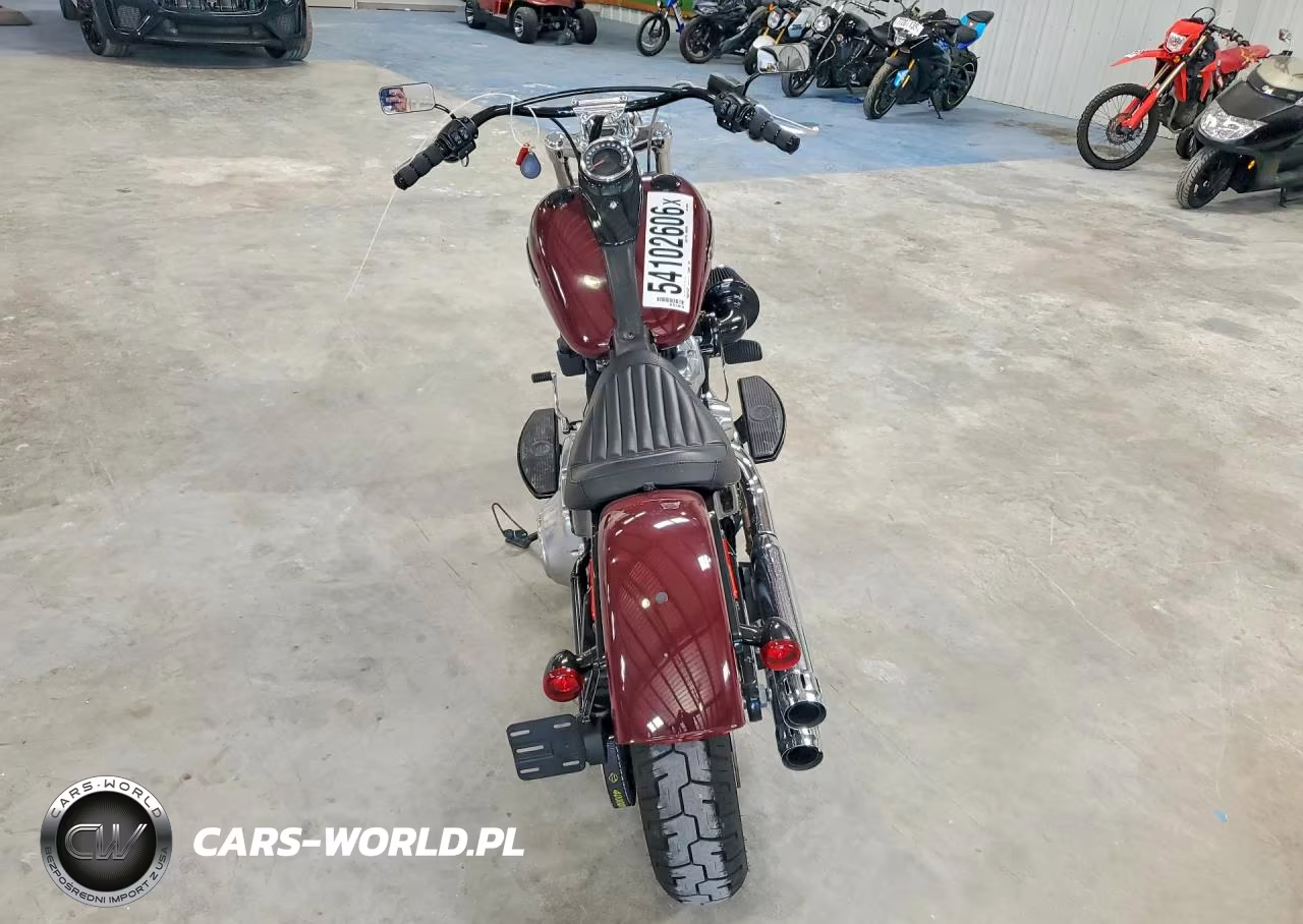 2020 Harley Davidson Flsl Softail Slim VIN:1HD1YDJ16LB014617 - 4