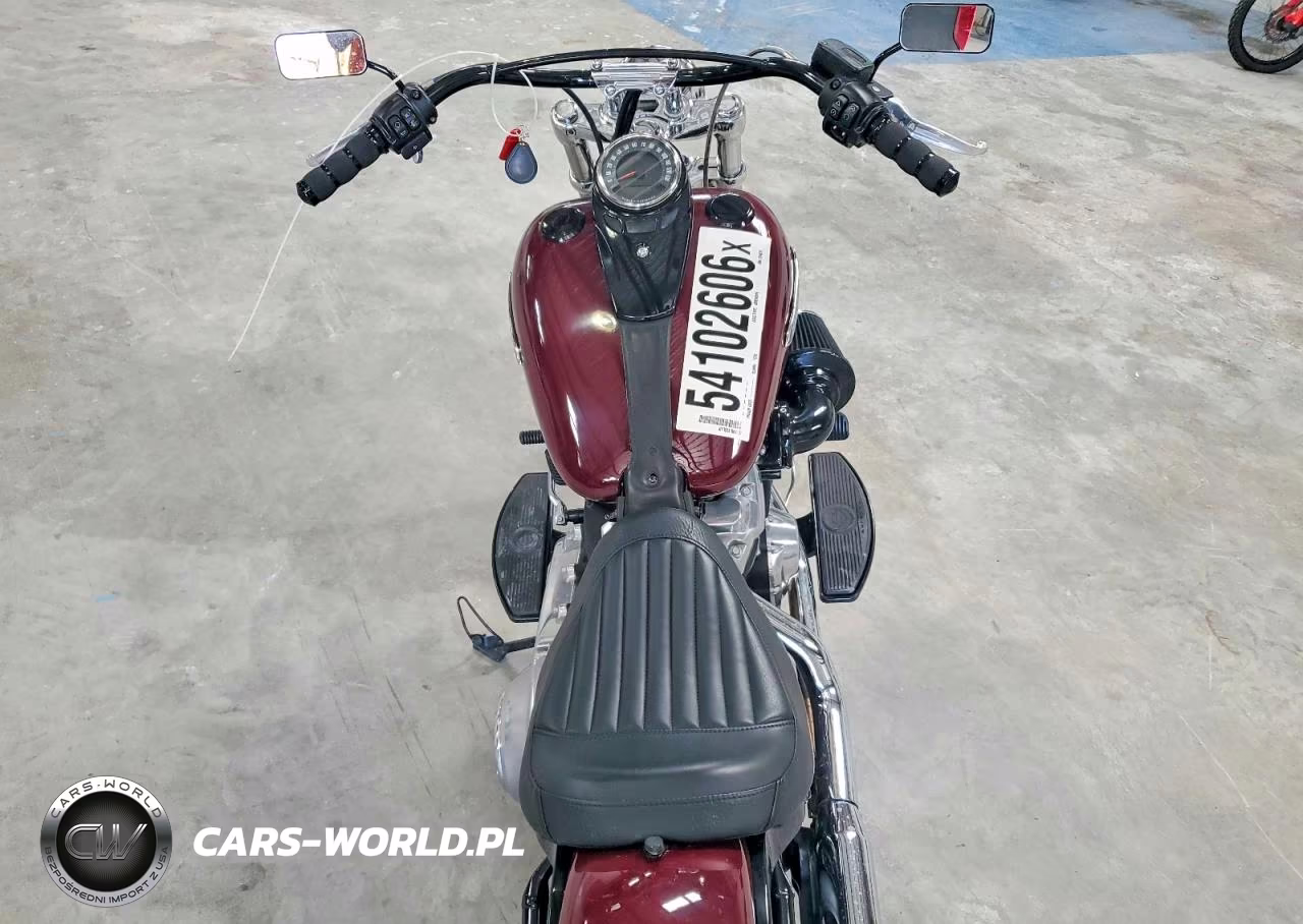2020 Harley Davidson Flsl Softail Slim VIN:1HD1YDJ16LB014617 - 6