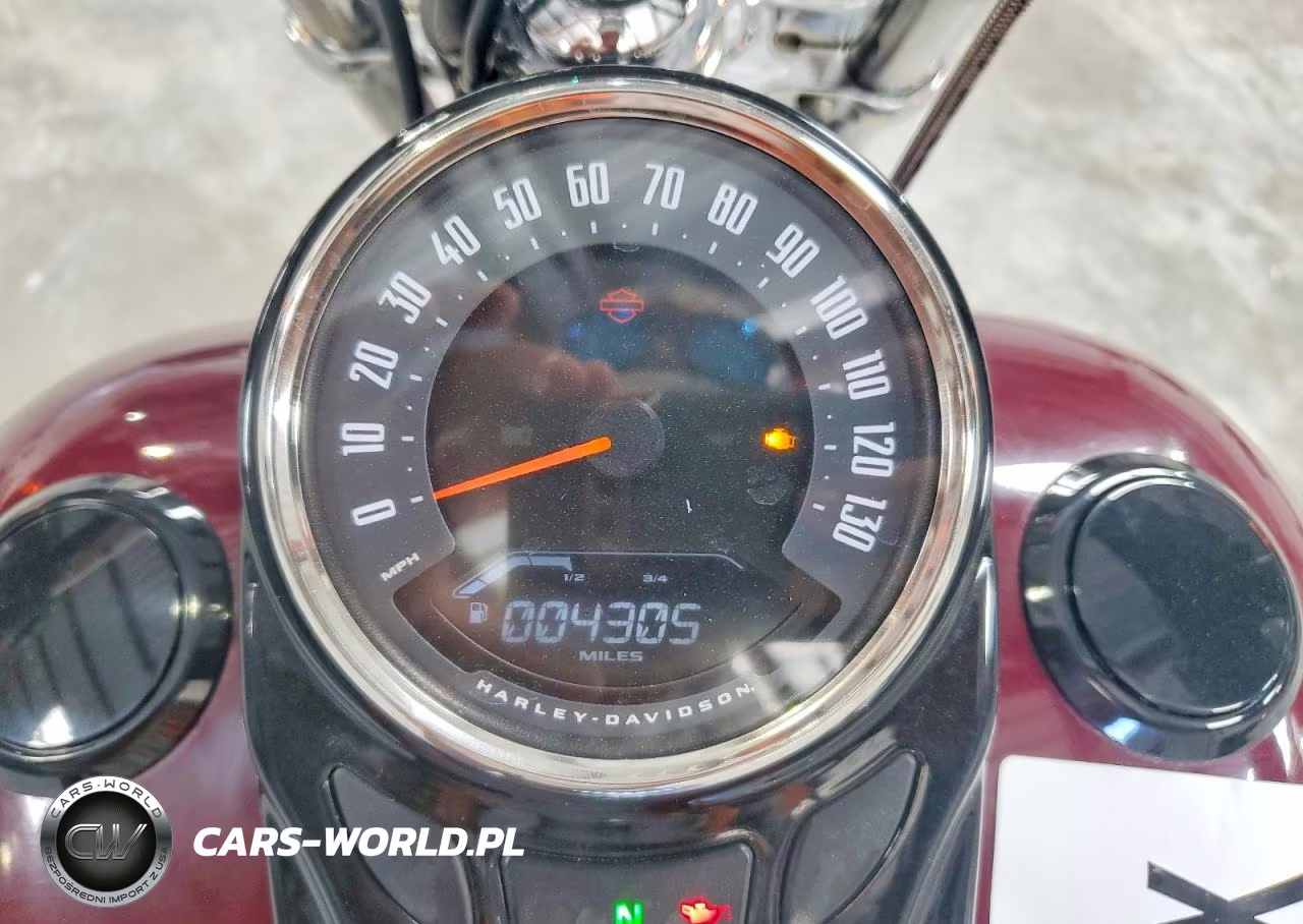 2020 Harley Davidson Flsl Softail Slim VIN:1HD1YDJ16LB014617 - 7