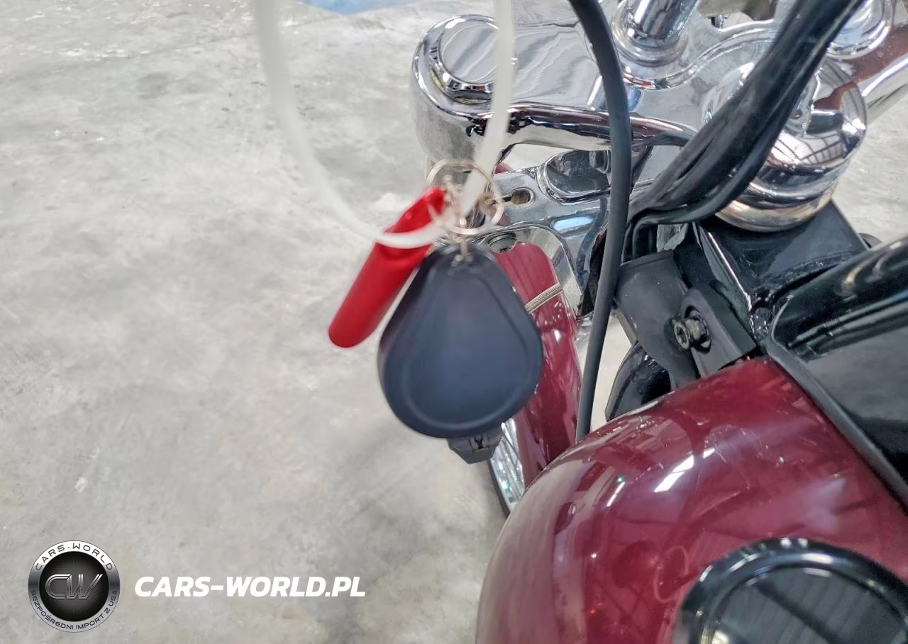 2020 Harley Davidson Flsl Softail Slim VIN:1HD1YDJ16LB014617 - 8