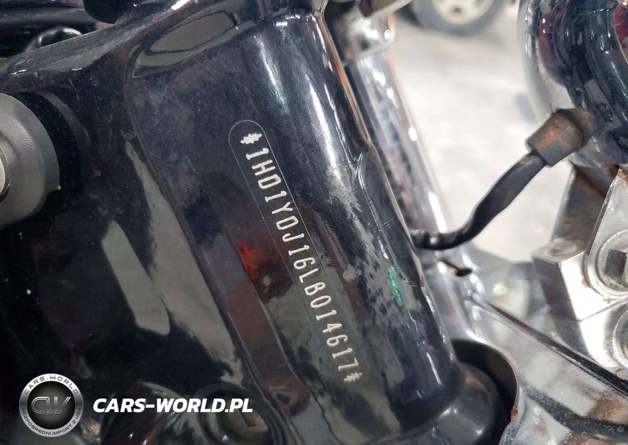 2020 Harley Davidson Flsl Softail Slim VIN:1HD1YDJ16LB014617 - 9