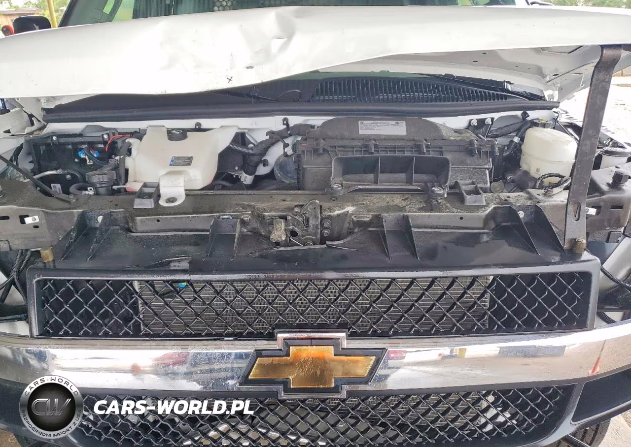 2025 Chevrolet Express G2500 VIN:1GCWGAFP9S1194010 - 11
