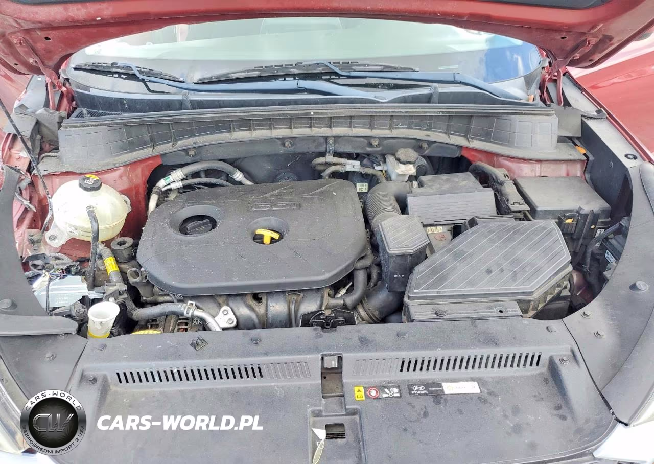 2019 Hyundai Tucson Se VIN:KM8J23A46KU911068 - 12