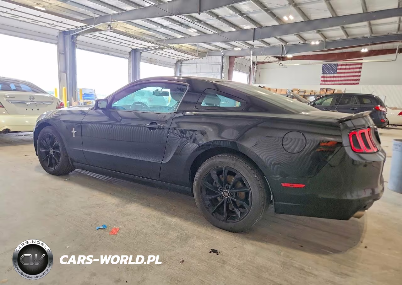 2013 Ford Mustang VIN:1ZVBP8AM0D5216389 - 2