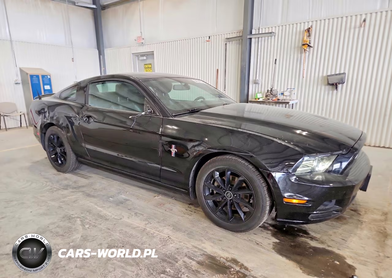 2013 Ford Mustang VIN:1ZVBP8AM0D5216389 - 4