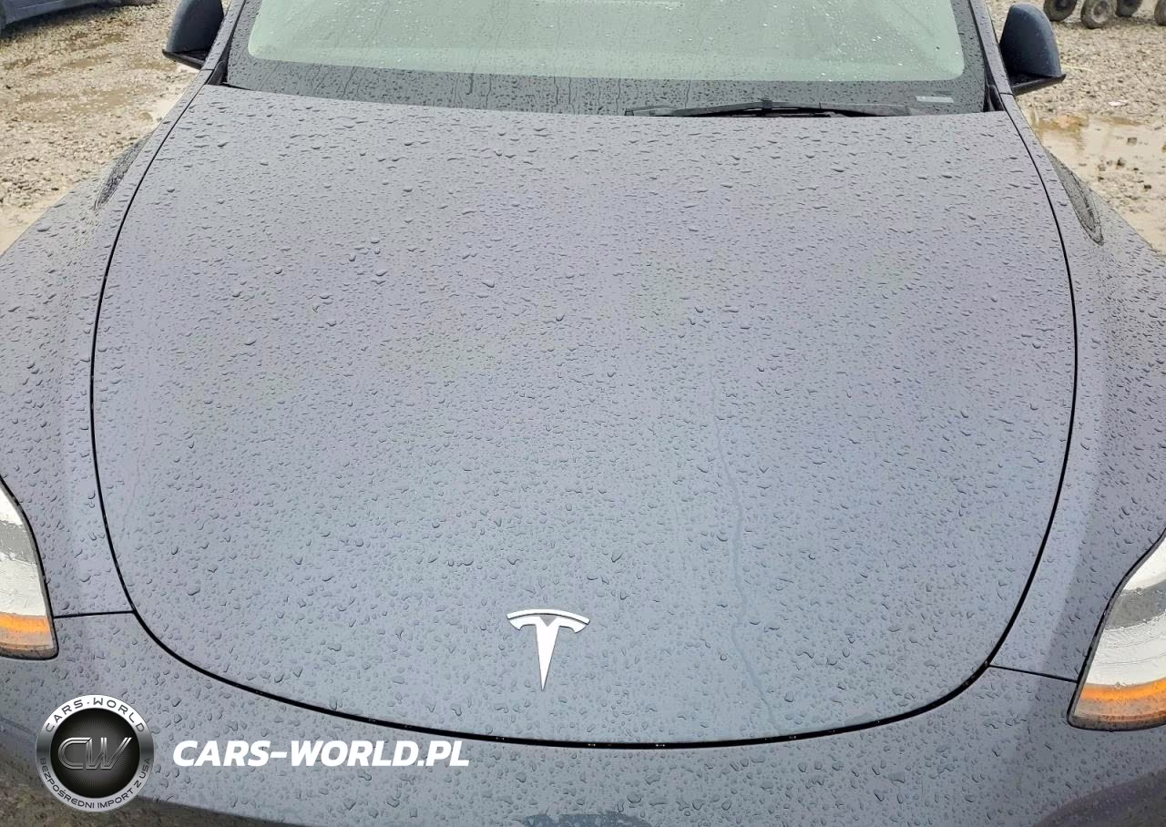 2023 Tesla Model Y VIN:7SAYGDEE4PA158234 - 11