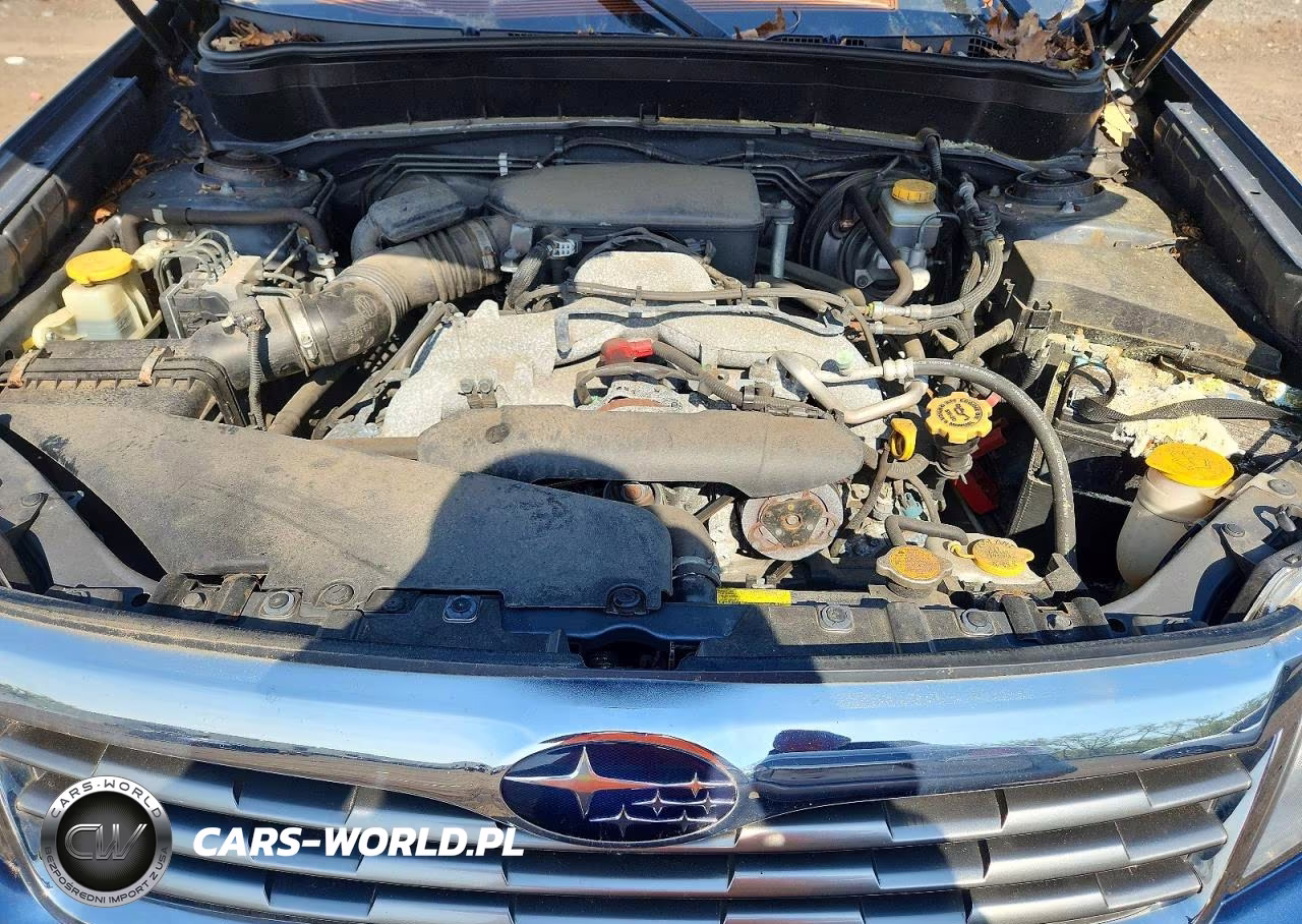 2010 Subaru Forester 2.5X Premium VIN:JF2SH6CC9AH769126 - 11