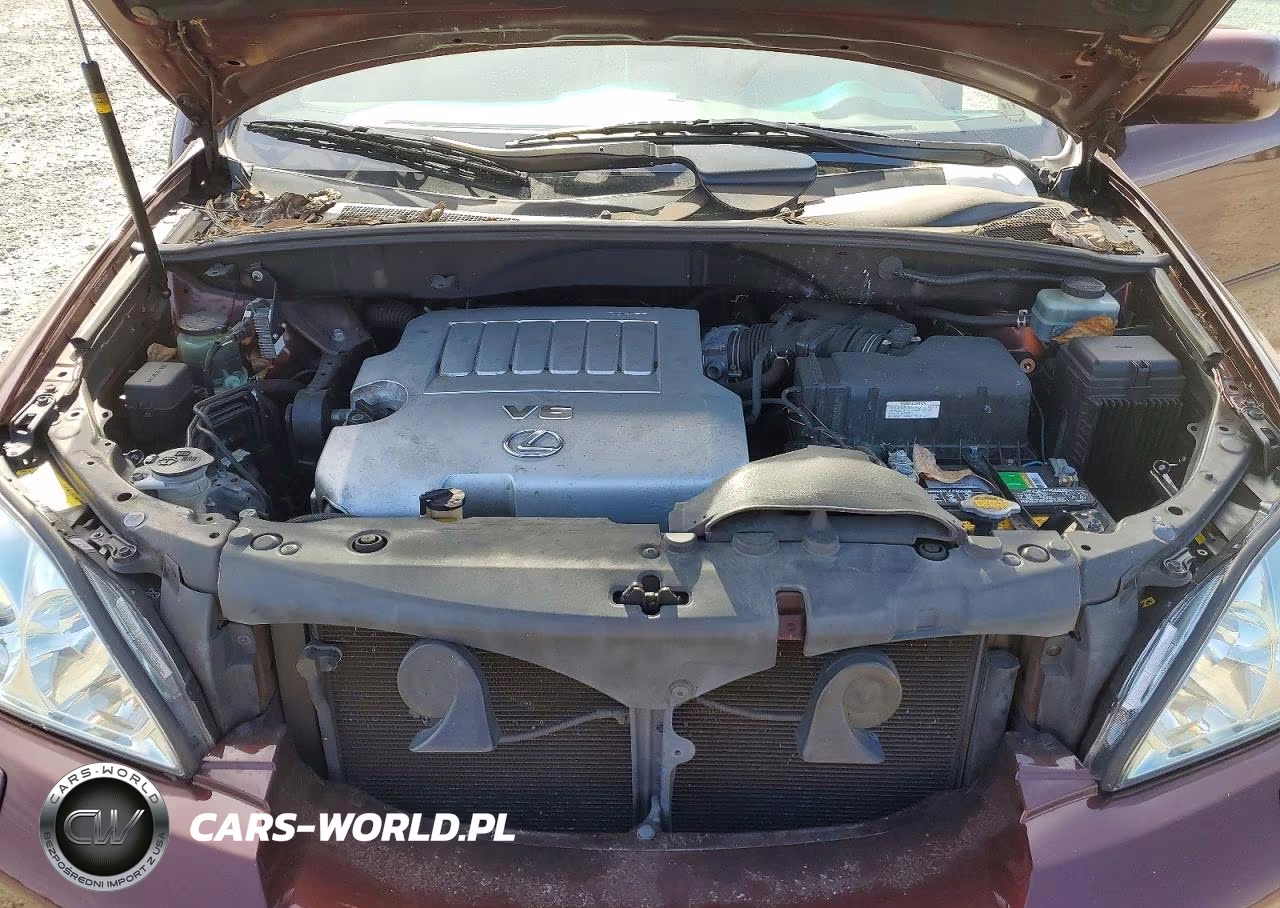 2008 Lexus Rx 350 VIN:JTJHK31U682854150 - 12
