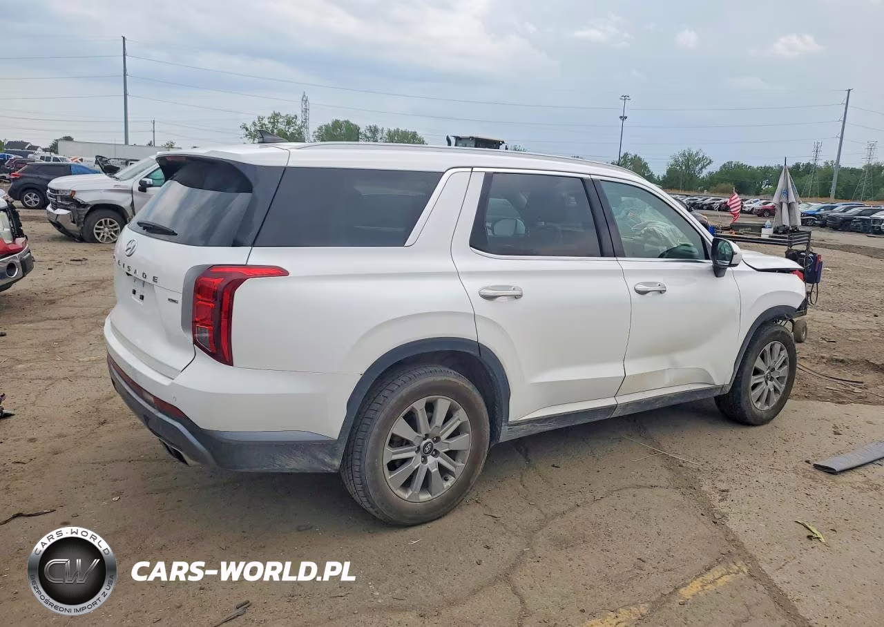 2024 Hyundai Palisade Sel VIN:KM8R2DGE7RU788447 - 3