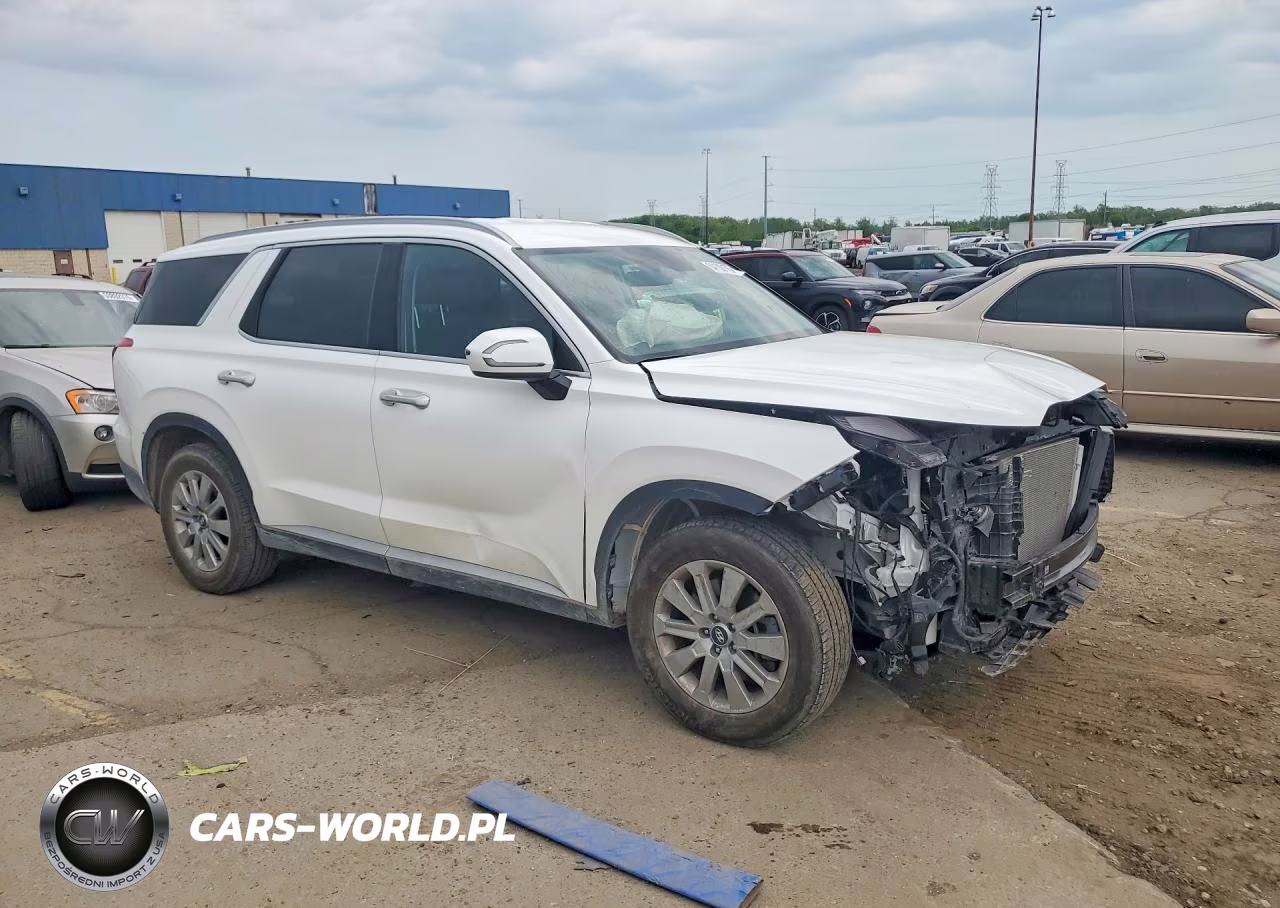 2024 Hyundai Palisade Sel VIN:KM8R2DGE7RU788447 - 4