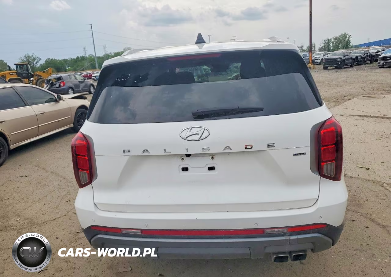 2024 Hyundai Palisade Sel VIN:KM8R2DGE7RU788447 - 6