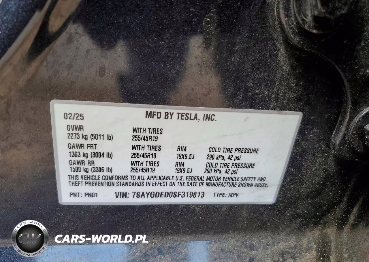 2025 Tesla Model Y VIN:7SAYGDED0SF319813 - 12