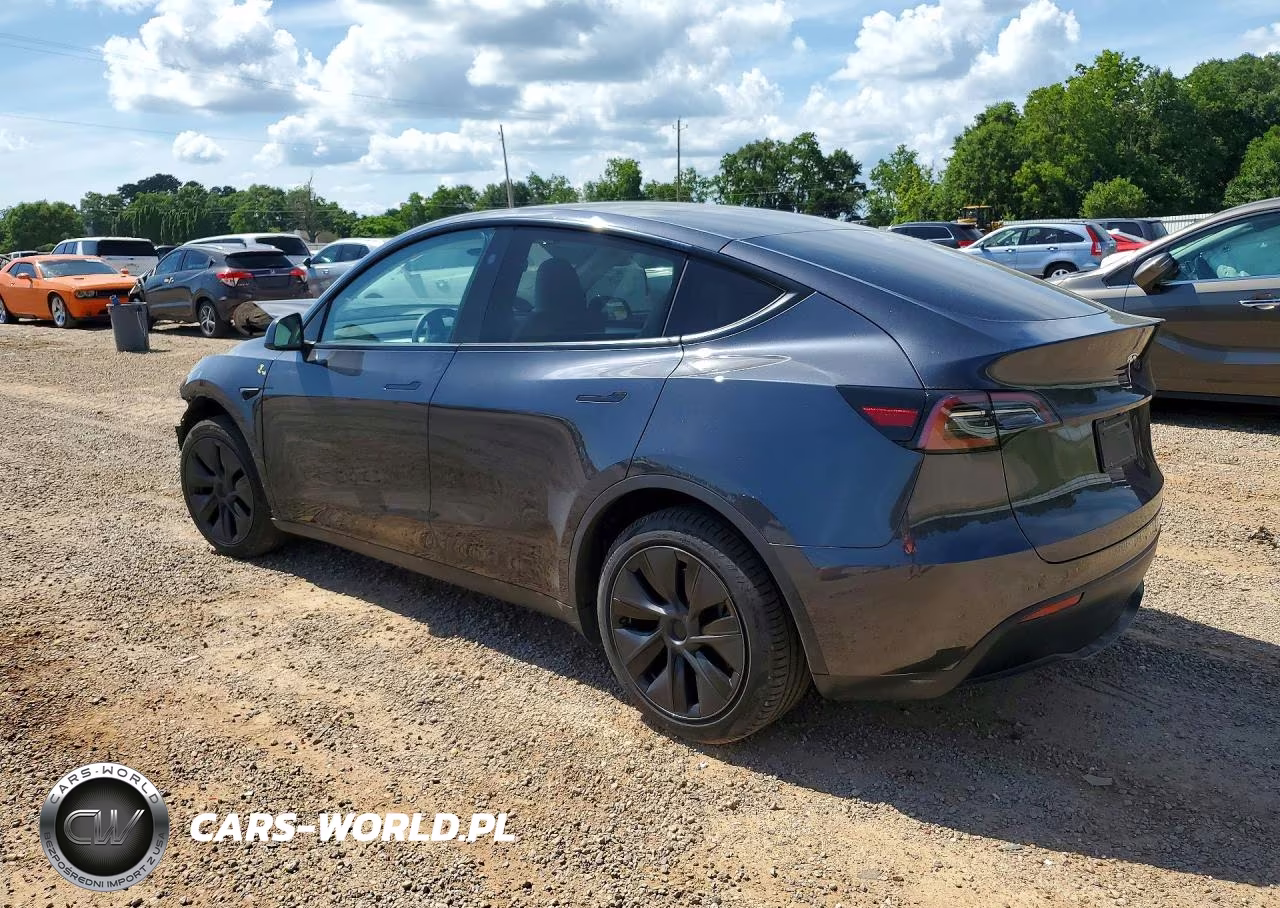 2025 Tesla Model Y VIN:7SAYGDED0SF319813 - 2
