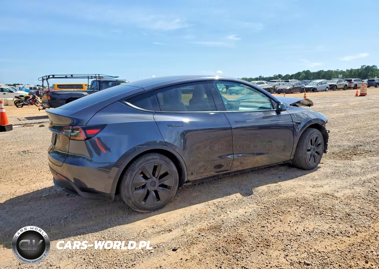 2025 Tesla Model Y VIN:7SAYGDED0SF319813 - 3